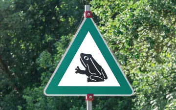 Close-up of a triangular road sign with a frog