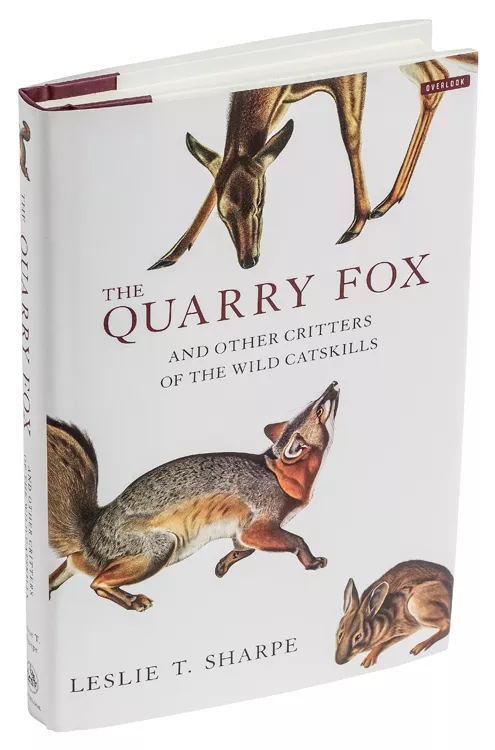 The Quarry Fox: And Other Critters of the Wild Catskills