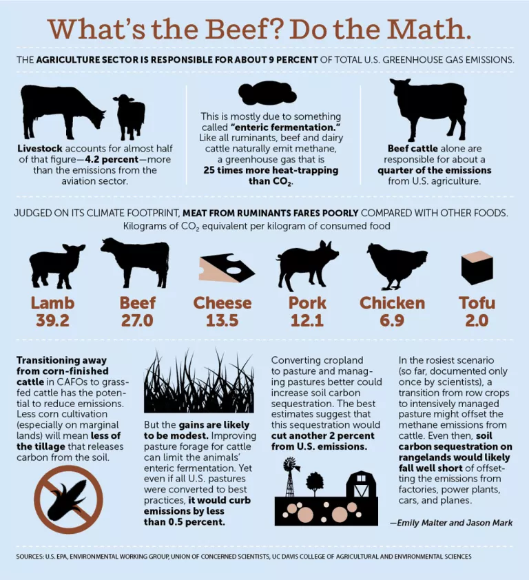 graphic about agriculture and methane emissions