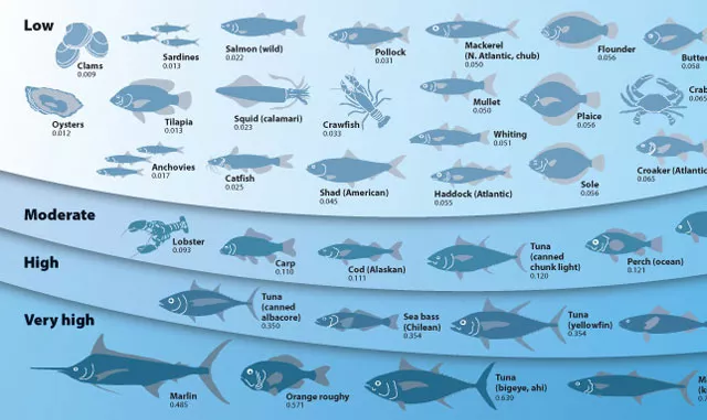 mecury in fish chart