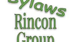 Bylaws for Rincon Group thumb.png
