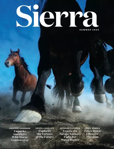 Summer 2023 Sierra magazine