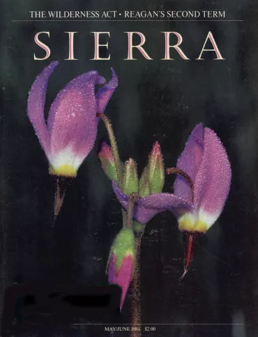 Sierra May/June 1984