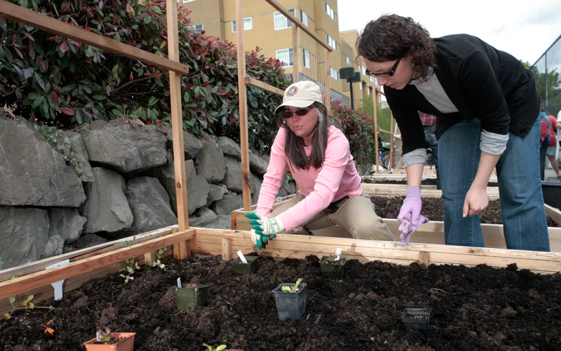 Seattle University has been composting its food waste for 15 years. Students and community members can graze at several "edible gardens."