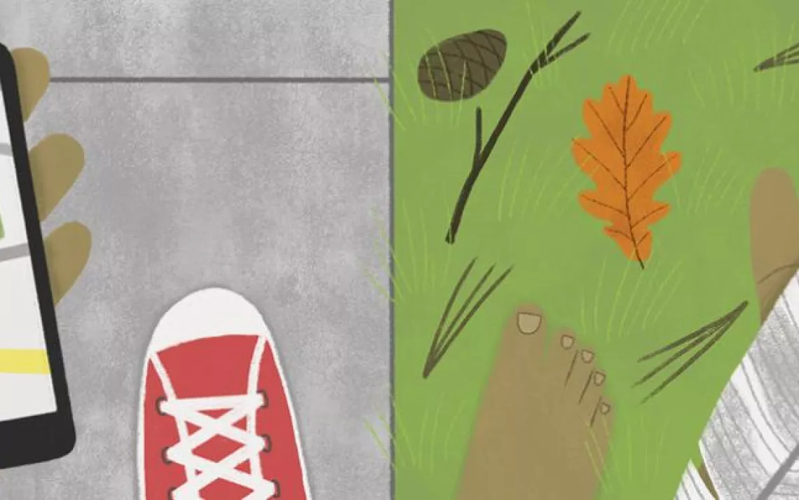 Illustration of a phone next to a sneaker and feathers and leaves on the ground