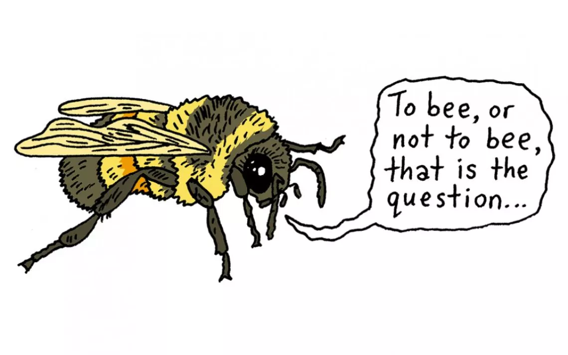 A bee saying 'To bee, or not to bee, that is the quesion...'