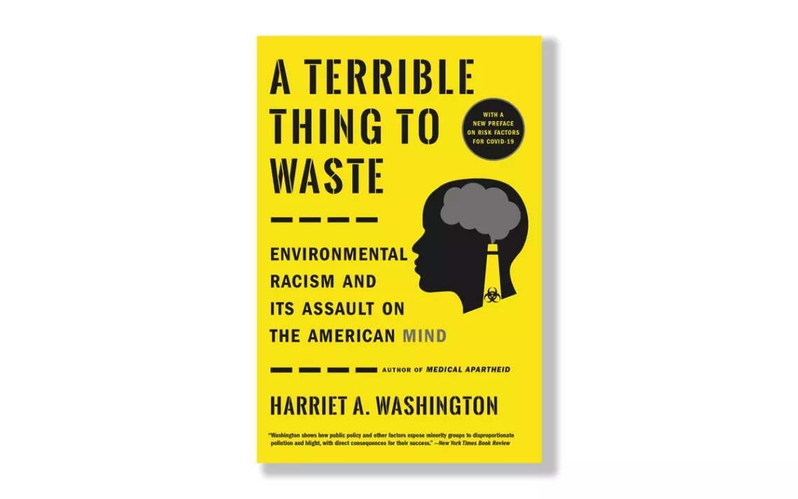 A Terrible Thing to Waste: Environmental Racism and Its Assault on the American Mind