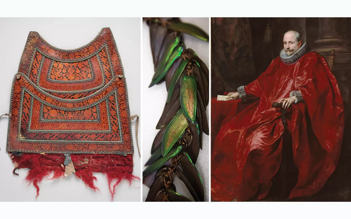 The varied use of insect parts and products in art includes (from left to right), lac bug–derived shellac decorating a piece of Tibetan horse armor, iridescent beetle elytra incorporated in an ear ornament made by the Awajún people of South America, and red pigment derived from cochineal insects in a painting by the Flemish artist Anthony van Dyck.