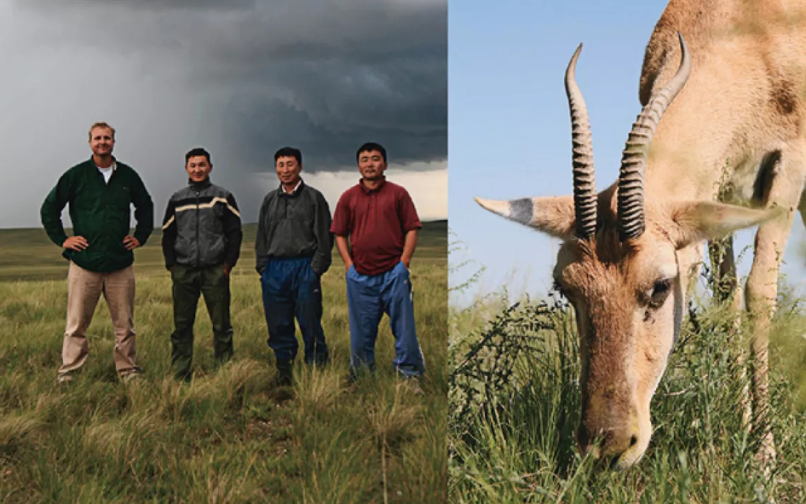 From left: Kirk Olson, Jadambaa, Otgo, and Dondug. Right: A Mongolian gazelle.