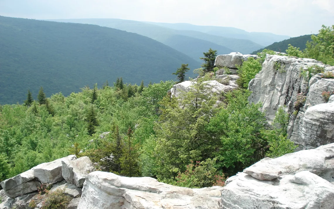View from Breathed Mountain, Dolly Sods Wilderness, West Virginia