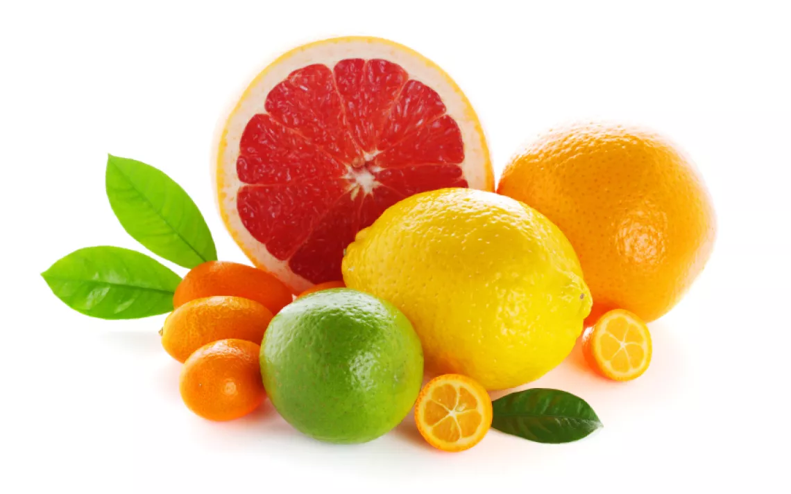Summer Citrus Shortage