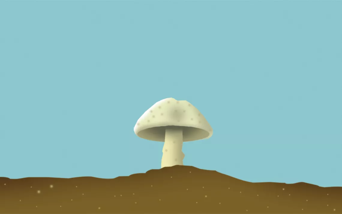 Next Big Thing: Mushrooms