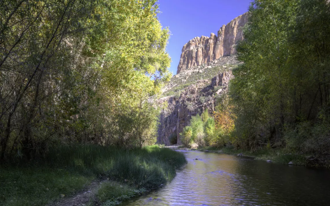 Aravaipa Canyon recovered after a 2006 flood shredded the desert oasis.