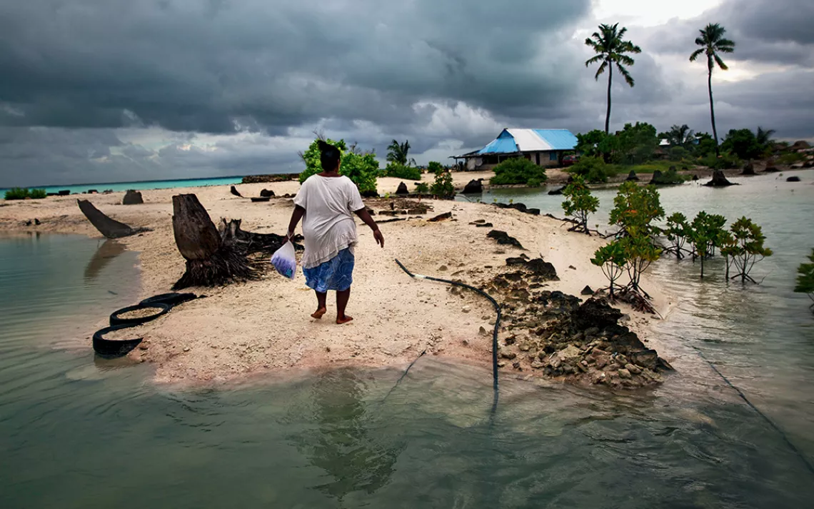 High tides mean big trouble for Kiribati's overcrowded atolls. Frequent flooding has killed off many coconut trees, a major source of residents' food and income.