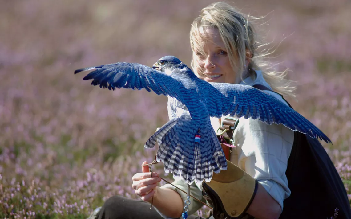Emma Ford has written eight books about birds of prey and shares her home with 40 eagles, hawks, and falcons.