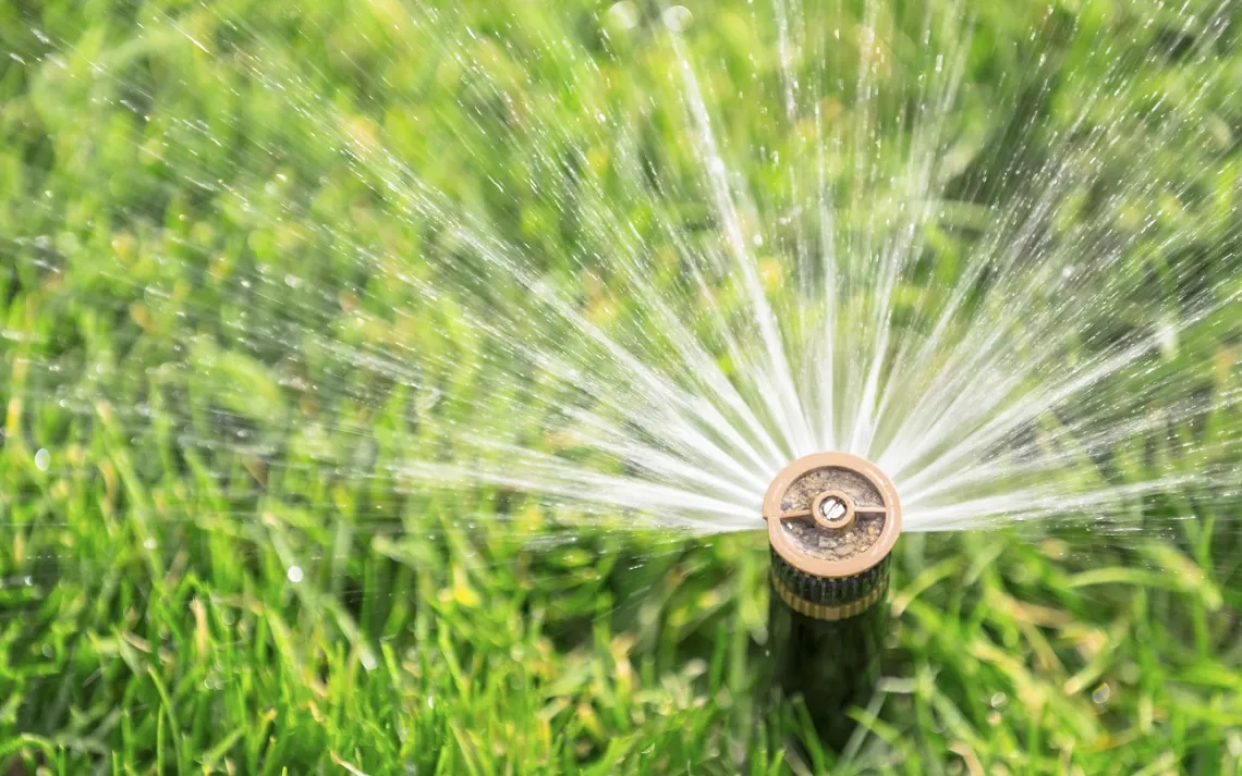 Hey Mr. Green, does my sprinkler replenish ground water?