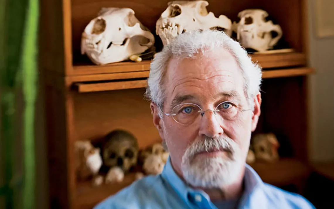 Chuck Schwartz in his office in Bozeman, Montana. The bear skulls in the background came from as far away as Russia and Africa. | Photo by Moe Witschard
