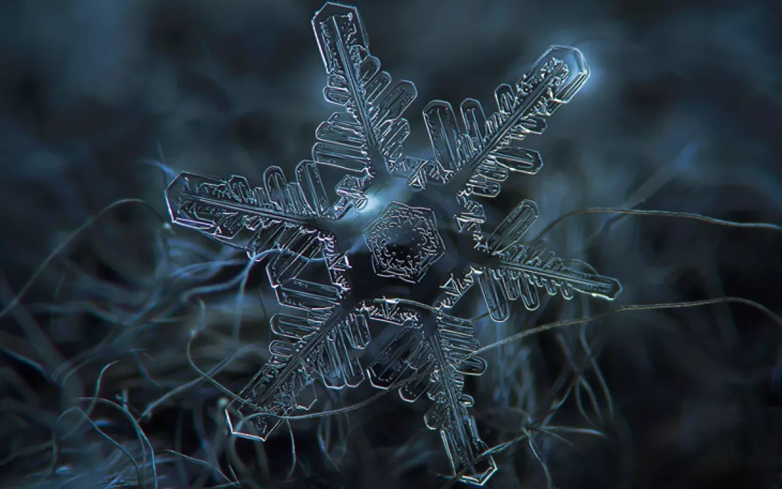 Photographer Alexey Kljatov uses a reverse-lens macro technique to capture snowflakes on his balcony in Moscow.