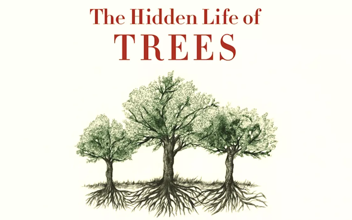 The Hidden Life of Trees by Peter Wohlleben