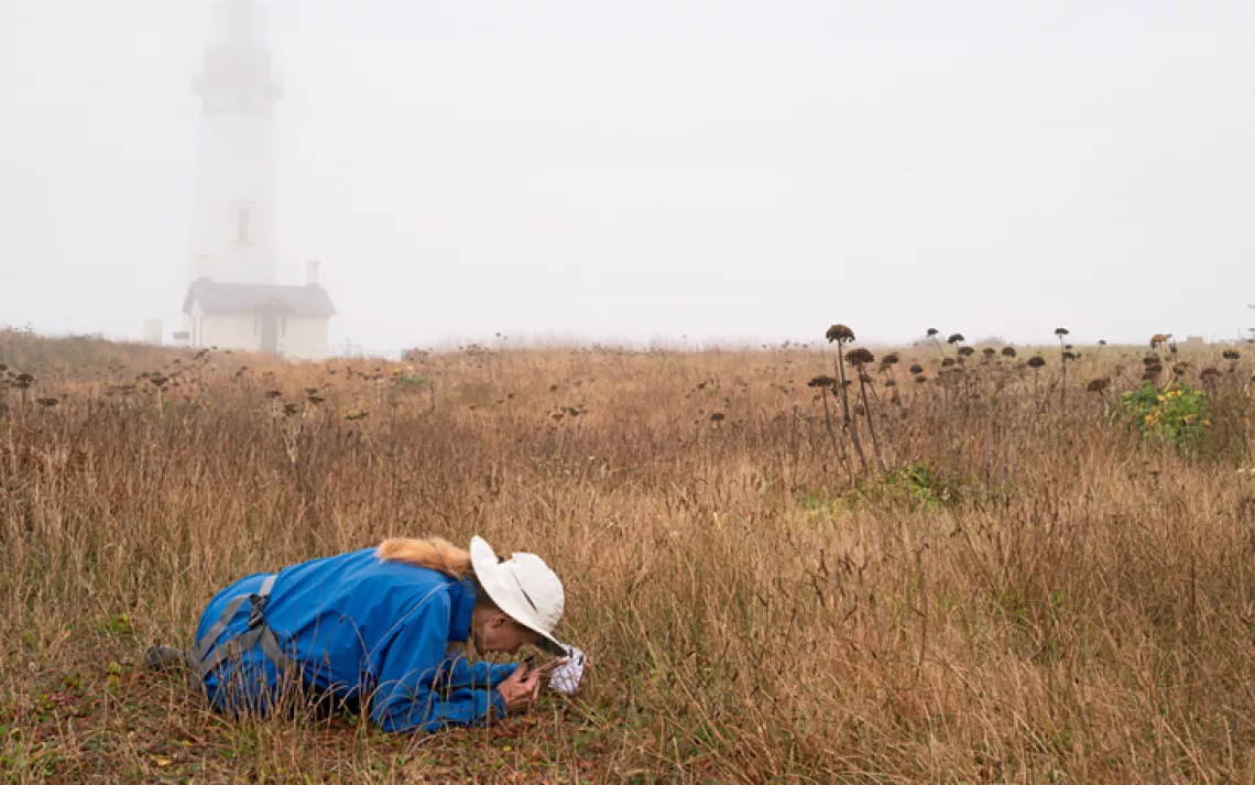 Photographer Lucas Foglia accompanies plant breeders as they search for the wild relatives of common food crops. 
