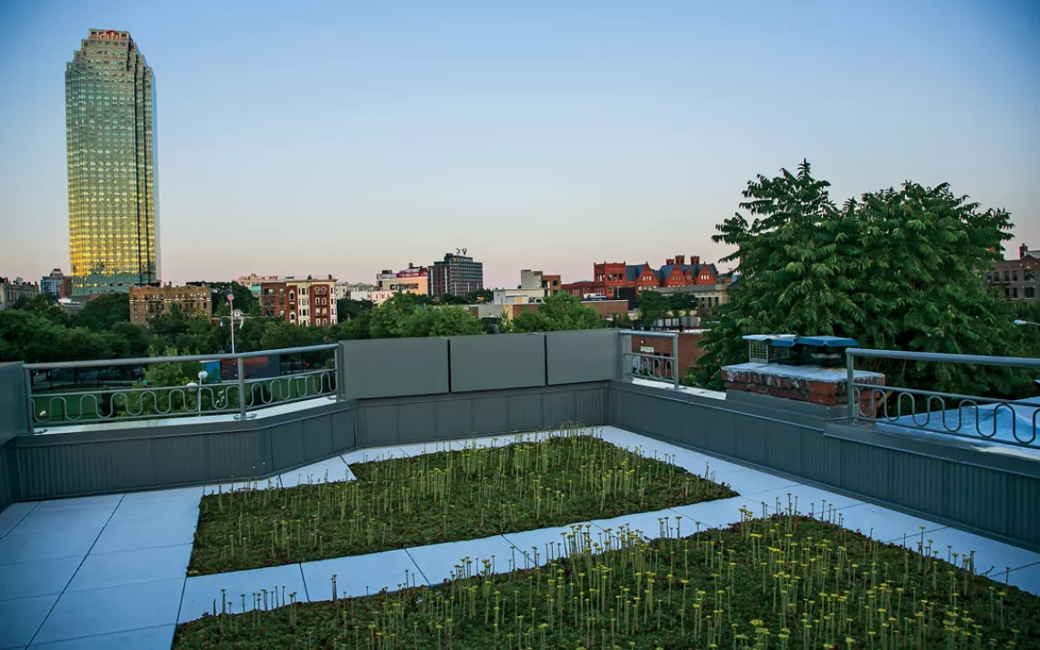 The green roof captures runoff for a garden