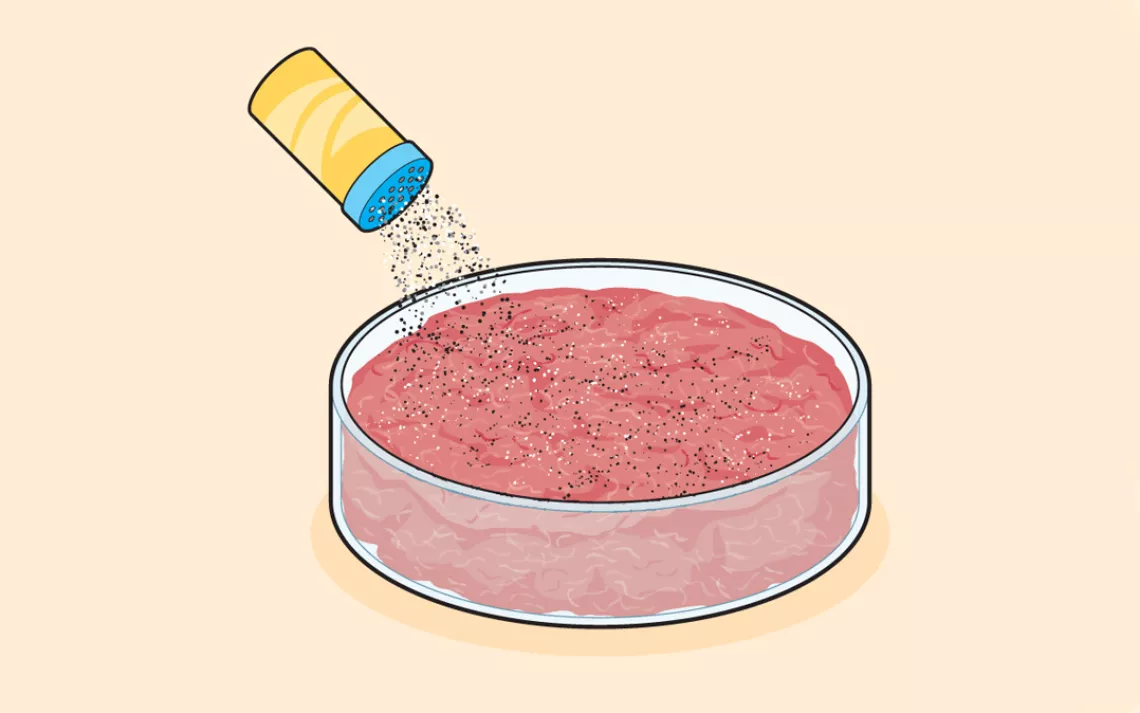 The meat rings are harvested, cut up into small pieces, mixed with the fat that was produced in the bioreactor (to create a more realistic taste and mouthfeel), and then formed into a patty.