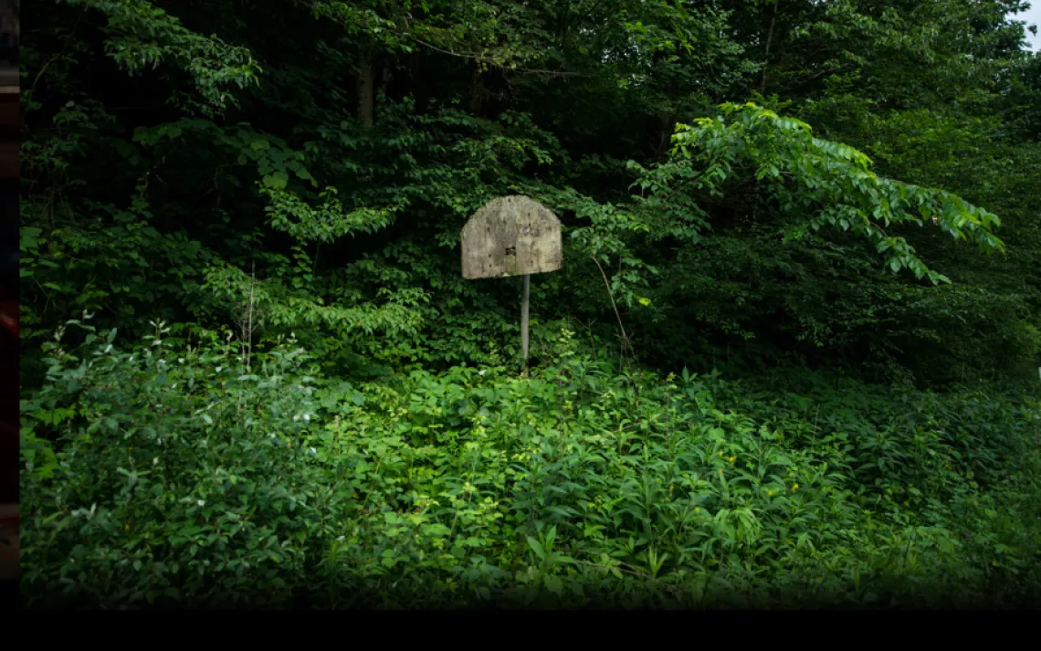Artifact of a happier time: a basketball backboard on what was once a residential lot in Lindytown, West Virginia. | Ami Vitale/Panos Pictures
