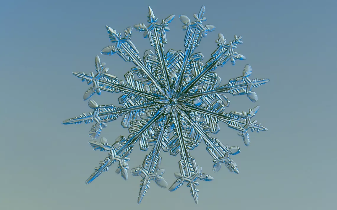 Snowflakes, Alexey Kljatov