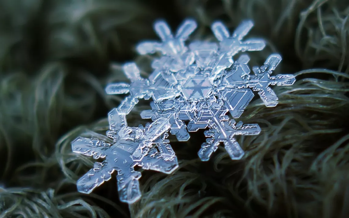 Snowflakes, Alexey Kljatov