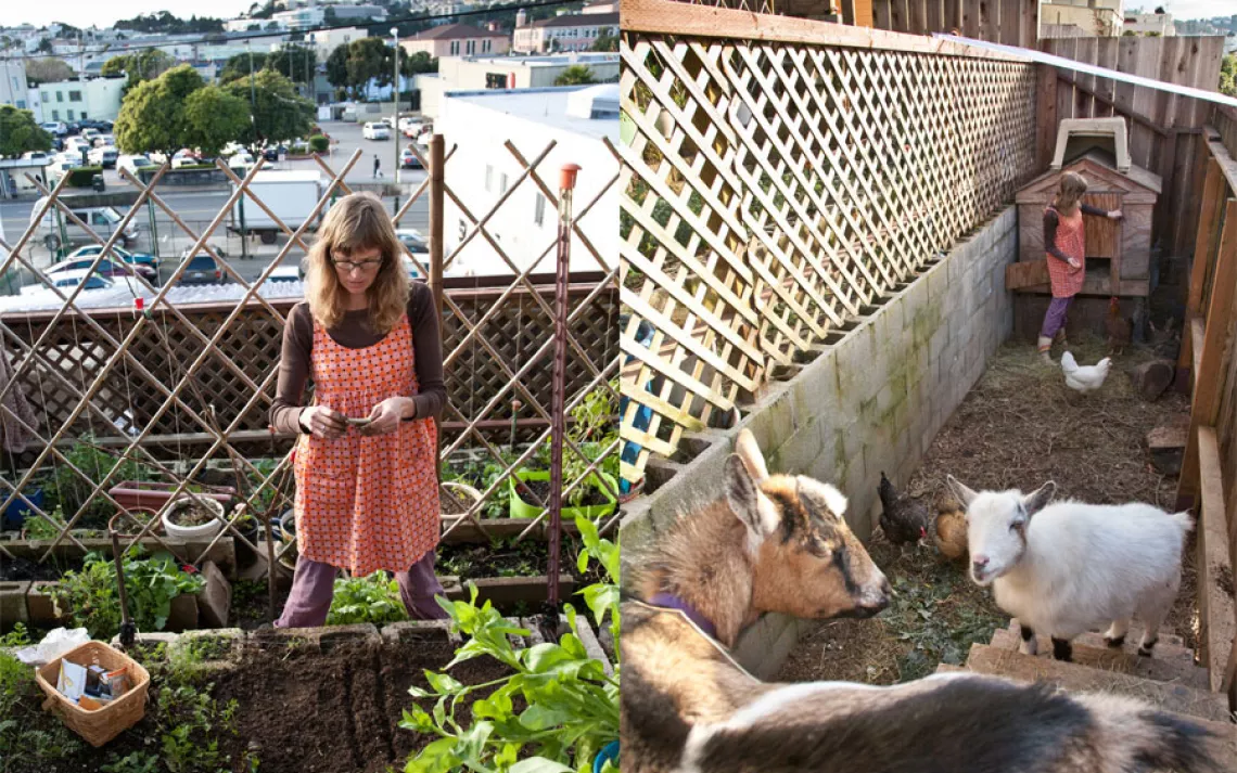 Heidi Kooy adapted to San Francisco's hilly topography by constructing a terraced farm.