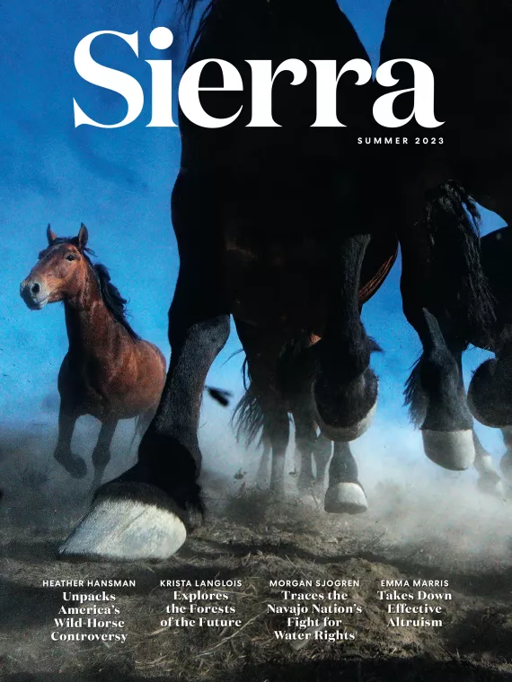 Summer 2023 Sierra magazine