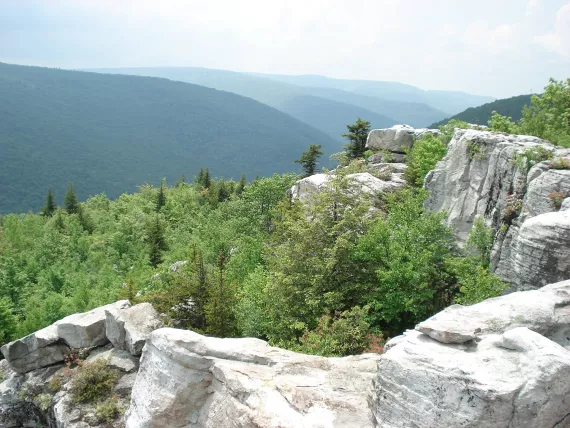 View from Breathed Mountain, Dolly Sods Wilderness, West Virginia