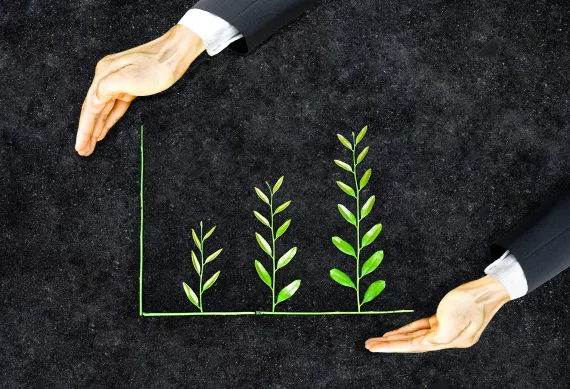 illustration of hands in a business suit holding green plants