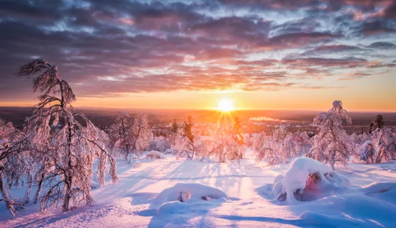 Scandinavian winter