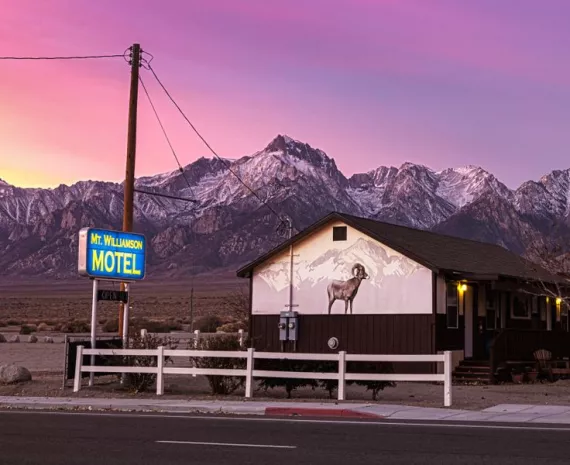 Mt. Williamson Motel in Independence, California, might be the only place in the world where you’re guaranteed a glimpse of the Sierra Nevada bighorn sheep.