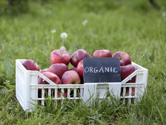 Hey Mr. Green, what does "organic" actually mean?