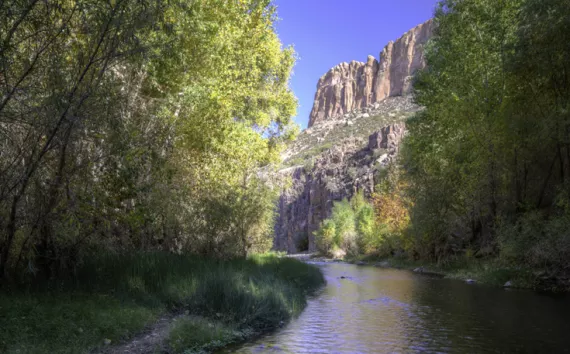Aravaipa Canyon recovered after a 2006 flood shredded the desert oasis.