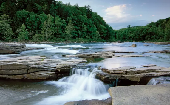 Youghiogheny River flows through the forests of Ohiopyle State Park, Pennsylvania.