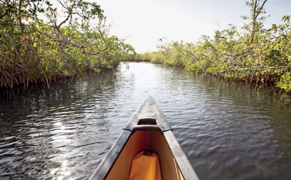 Canoe in mangroves, Everglades National Park