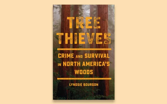 Cover image of the book Tree Thieves: Crime and Survival in North America’s Woods 