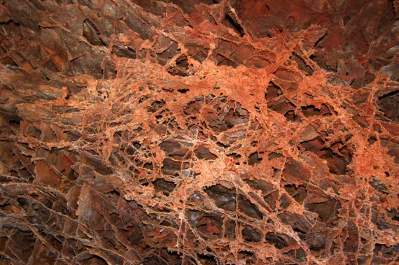 Boxwork formation in Wind Cave, SD courtesy of Wirepec