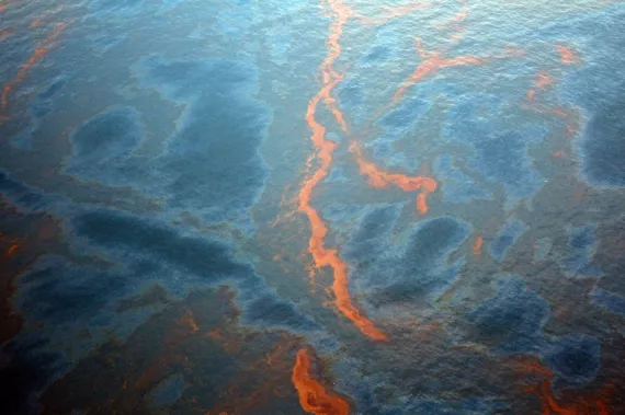 Crude leaked from the Deepwater Horizon wellhead in the Gulf of Mexico on April 28, 2010.