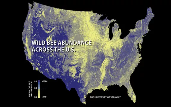 Wild Bee Abundance Map