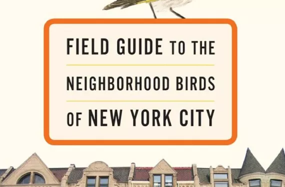 Field Guide to the Neighborhood Birds of New York City, by Leslie Day