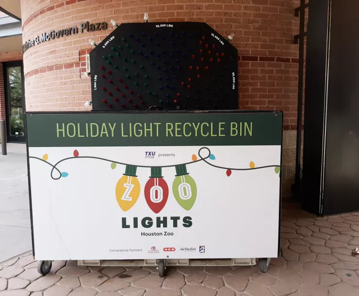 Recycle Holiday Lights