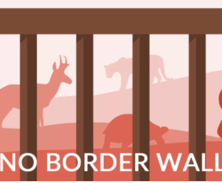 No Border Wall