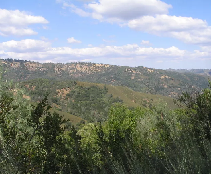 Rolling hills at Henry Coe State Park