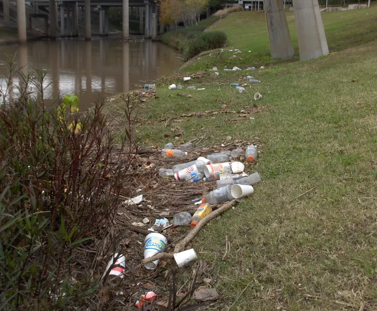 Trash on bank of Buffalo Bayou
