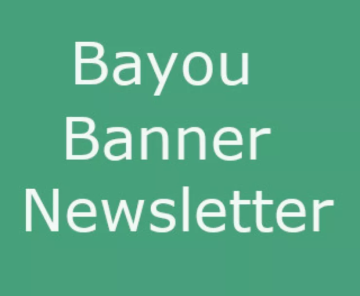 Bayou Banner