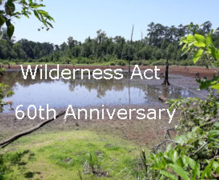 Wilderness Act, Big Slough